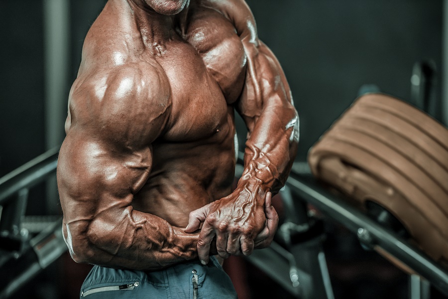What Could forum steroide musculation Do To Make You Switch?